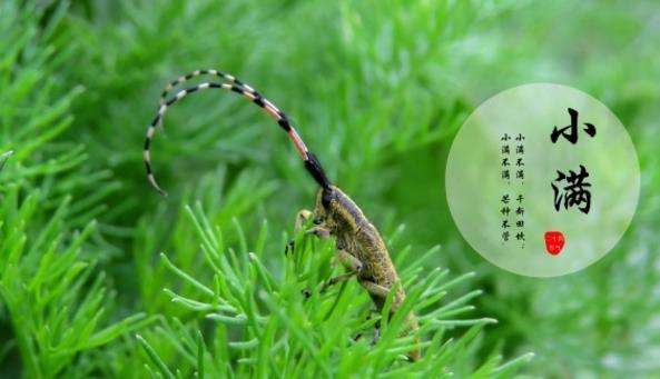 上?？婆d儀器